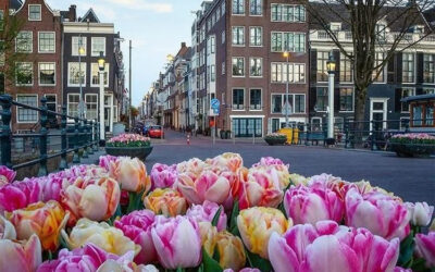 Borrelboot vs. kroeg: waarom het water wint