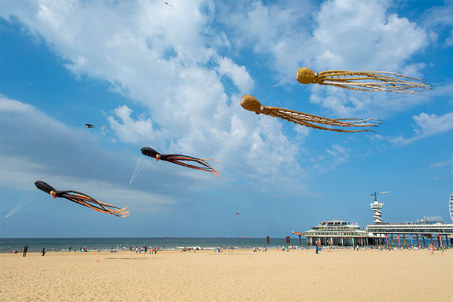 scheveningen rondvaart